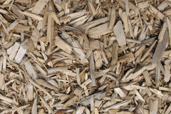 biomass boilers Milngavie